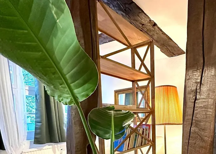 Apartman Baumeisterhaus